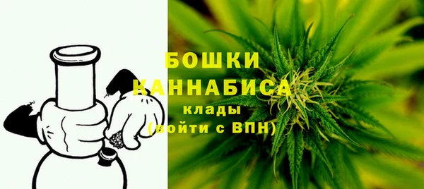 PSILOCYBIN Армянск