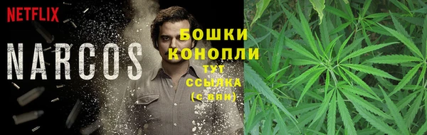 дживик Балабаново